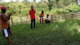 first win bulik grey