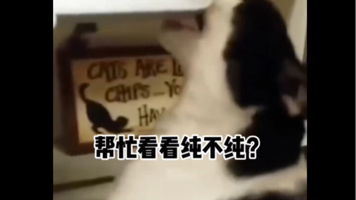 ช่วยดูหน่อยว่าบริสุทธิ์ไหม?