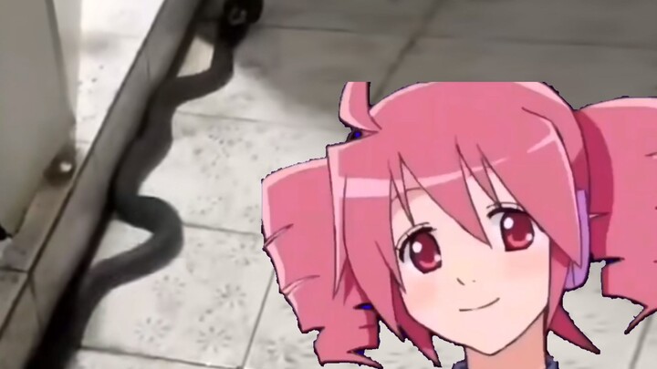 งูพิษเลื้อยเข้าห้องน้ำชาย! คำเตือนด้วยความหวังดีถูกเพื่อนนักเรียนมองว่าเป็นการแกล้งกัน