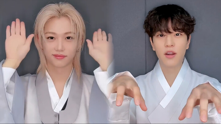 Felix Kim Seungmin Tantangan Anjing Chacha