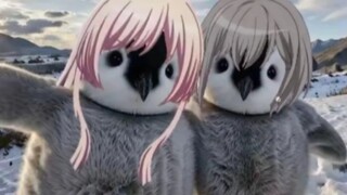 🐧充Q币吗，兔刀乐~🐧