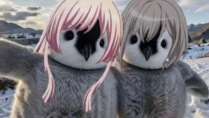 🐧充Q币吗，兔刀乐~🐧