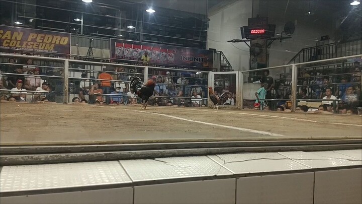 Budjit kalaban 1st fight win tayo