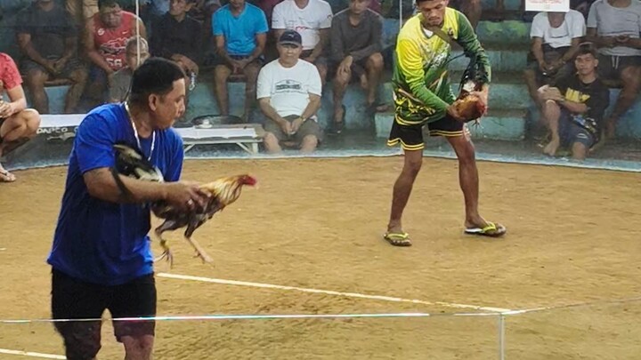 JR3 DOME 7x winner @ rtdapco daanbantayan