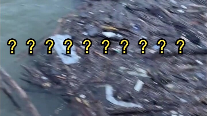 Are they sure the water quality in the Seine River in Paris is safe for Olympic events????
