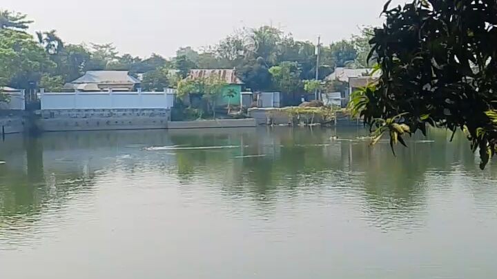 সেক্সি ভিডিও