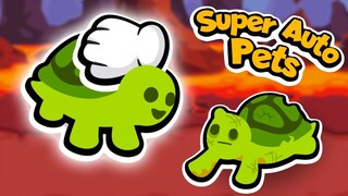 Super Animated Pets - Turtle Tyranny