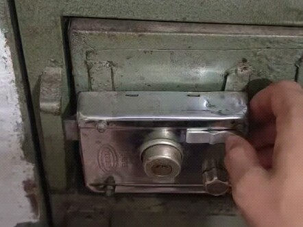 Cat: Dude, do you need something?