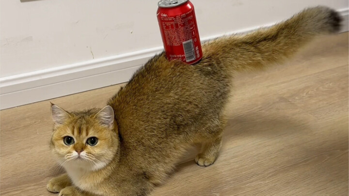 เด่นสะดุดตา: น้ำอัดลมหนึ่งขวดจะเท่าไหร่กันเชียว?