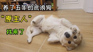 Tôi đã nhặt được một chú chó hoang cách đây 5 năm, và hôm nay "chủ nhân" của nó đã đến gặp tôi để xi