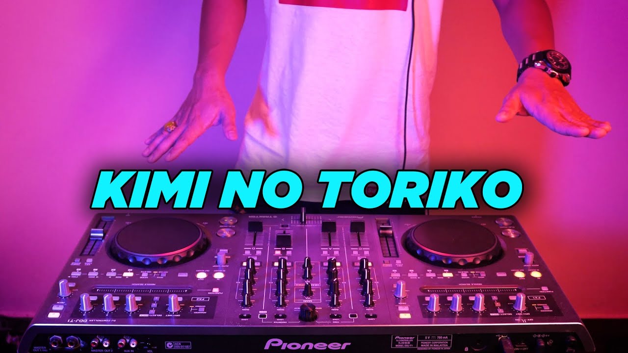 Kimi No Toriko [Summertime] - Tiktok Remix - song and lyrics by