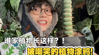 喔！原来小时候的植物涂鸦真的存在耶！！