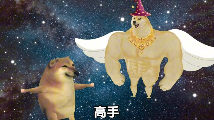 If it were you, how would you choose?