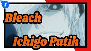 Bleach,Ichigo,Putih_1