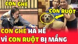 Con Sen cười hả hê khi thấy "Con Ruột" bị Bố mắng yêu vì không nghe lời 😂 | Yêu Lu