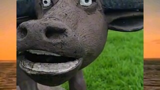 😂😂😂😂😂😂