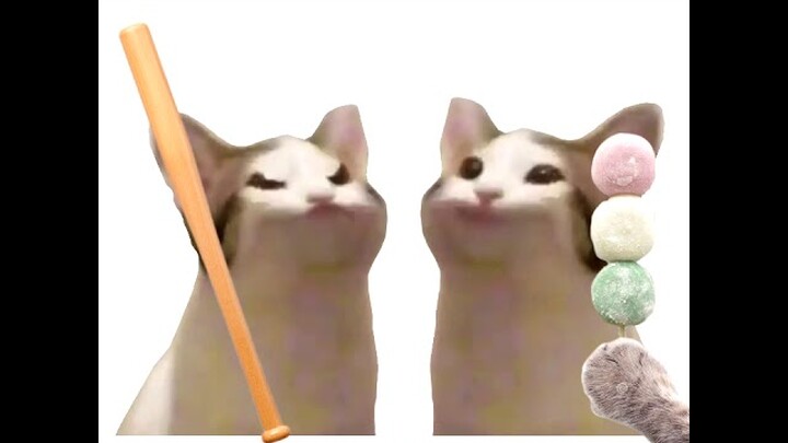 Pop Cat meme nge gas