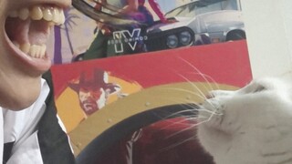 我对我的猫哈气了