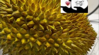 来开一个榴莲盲盒吧~~