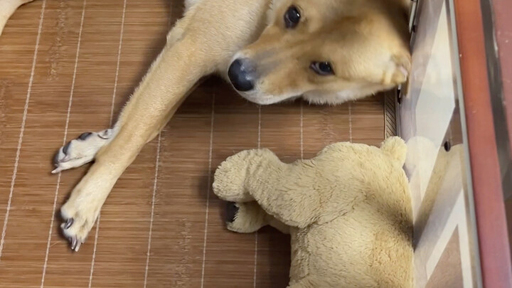 Anh chàng: Giữa trời hè nóng thế này đừng ép tôi tát anh.