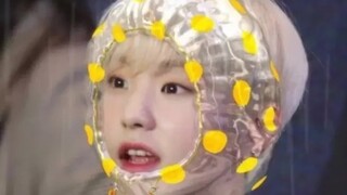 【seventeen】اليوم أعدت مشاهدة رقصة السكاكين المريحة جدًا لأخي رن، تحتوي على مفاجأة لطيفة، لا يجب أن ت