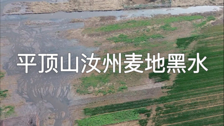 Di lahan gandum Ruzhou, Pingdingshan, air limbah hitam dibuang bahkan di siang hari; yang ingin saya
