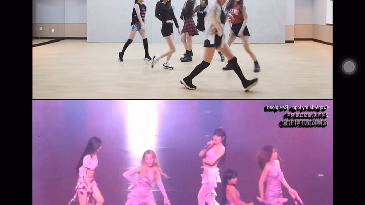 [Mirrored] Latata 6 to 5 person comparison version | For queuing