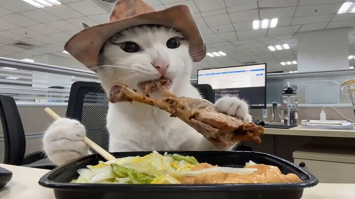 Why a Cat’s Vlog (A Bit Anxious at Work, Gotta Cheer Myself Up)