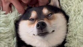 The first ear cleaning in 2025