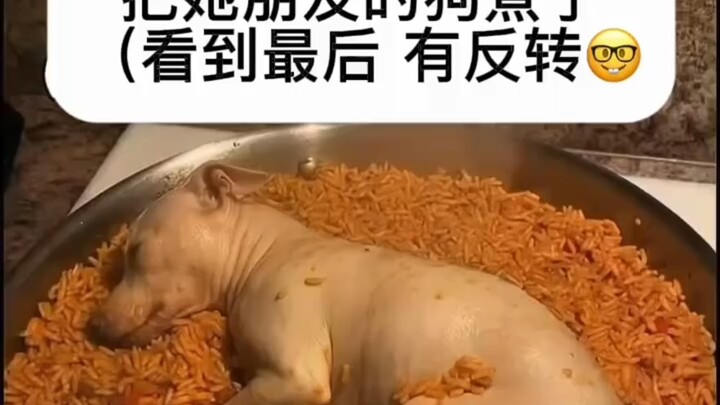 My little sister’s acting really weird #prank#AI#Mr. Stray Dog