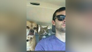 tik_tok ảnhchế hài toang