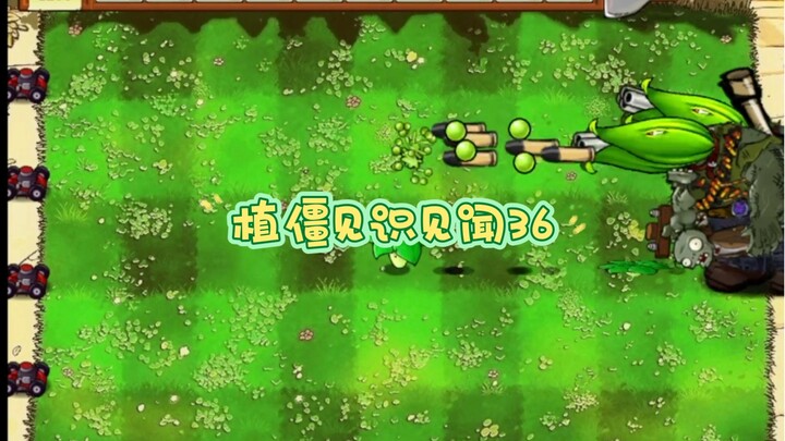 Plant vs. Zombie Experiences and Observations 36: The Radish Umbrella in the e-Chapter Branch