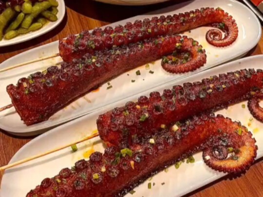 Bought a 6-jin deep-sea giant octopus for tonight’s late-night snack: three ways to enjoy octopus!