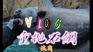 الخط الفرعي رقم 8 انقطع مباشرة، تُرى أي "وحش" موجود هنا بالأسفل؟