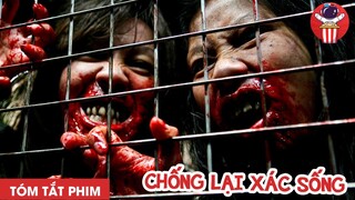 CÙNG NHAU CHỐNG LẠI XÁC SỐNG - TÓM TẮT PHIM KINH DỊ: KHÔNG KHOAN NHƯỢNG