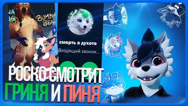 🐺 Роско смотрит Shorts Грини и ПИНИ