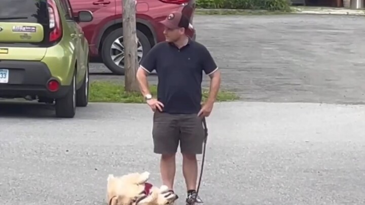 Chú chó nũng nịu nằm lăn ra đất, xem kết cục thế nào nhé!