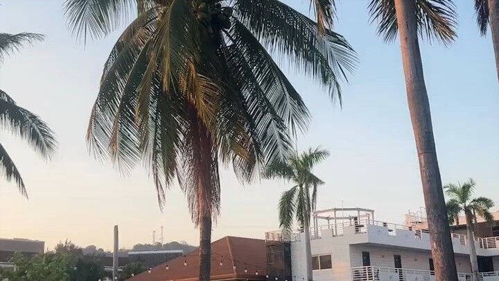 美好的一天开始，每天给自己的一个希望，就是今天更美好的原因。早安！