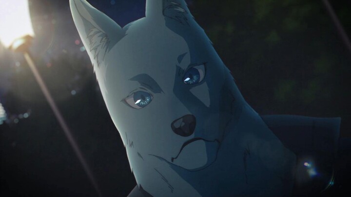 Tsunagu Hidaka [Kimikoe]