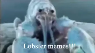 Memes that are Certified Lobster