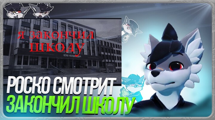 🐺 Роско смотрит ТРАФЭ - Я закончил школу , моё мнение