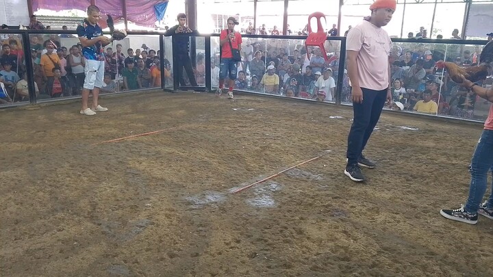 win first fight