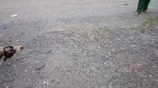 exercise