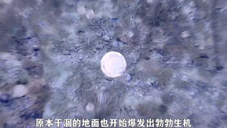 “一颗小水滴不行那就千千万颗” #秋日暴击