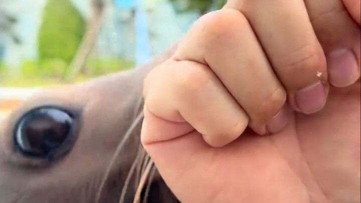 ยังคงต้านหมัดอัปเปอร์คัตได้