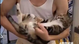 "แมวและสุนัขที่คุณปู่คุณย่าเลี้ยงมาในช่วงหลายปีที่ผ่านมา"