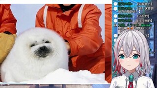 日本天然小姐姐看《煤气罐要轻拿轻豹》：海豹太可爱了