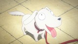 [MAD|Hilarious]Kompilasi Adegan Anime Lucu|BGM:Carttons - Diddley Dee
