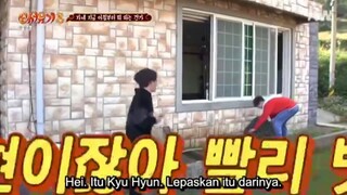 New Journey To The West season 8 | #Kyuhyun #mino #jiwon #leesoogeun #kanghodong #PO #NJTTW