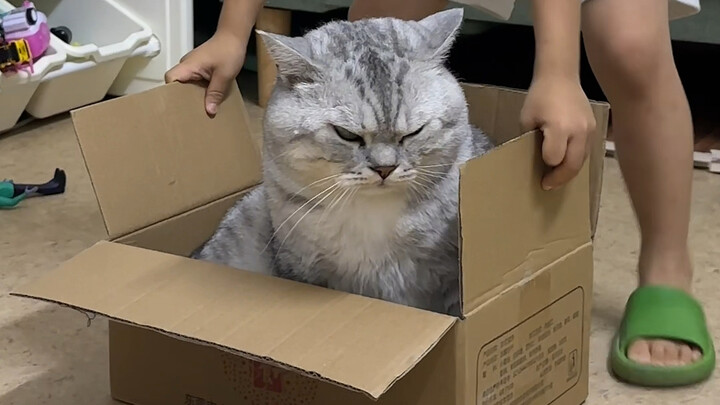 Dazhuang sleeps in a cardboard box while his little brother pushes him.